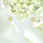 Minimlist diamond Star stud earrings/ Star of david diamond studs/ Diamond stud earrings / Gold studs/ Dainty earrings/ Gifts for her
